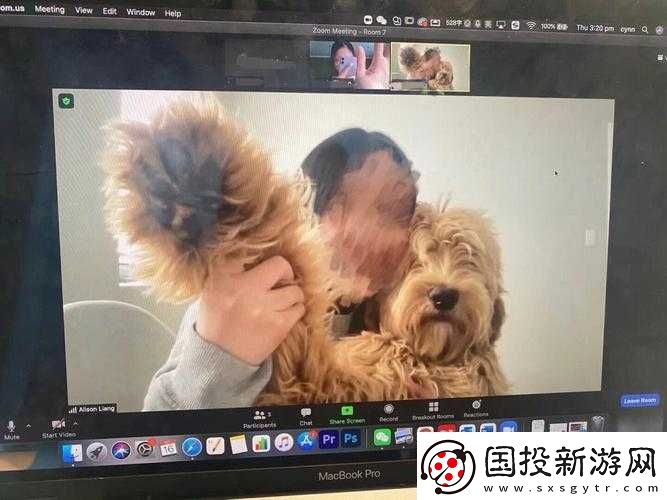 狗-Zoom-和人類-Zoom-哪個(gè)好：寵物與人類的比較