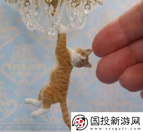 時間之神的貓210攻略路線詳情：通關技巧與策略解析
