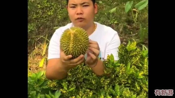 榴蓮秋葵讓你流連忘返-網(wǎng)友稱(chēng)贊其獨(dú)特口感-吃了讓人欲罷不能-驚艷味蕾的絕妙組合
