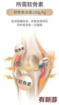 糖心柚子貓短視頻vlog：2024年最火的萌寵趨勢與生活分享-帶你感受甜蜜日常！