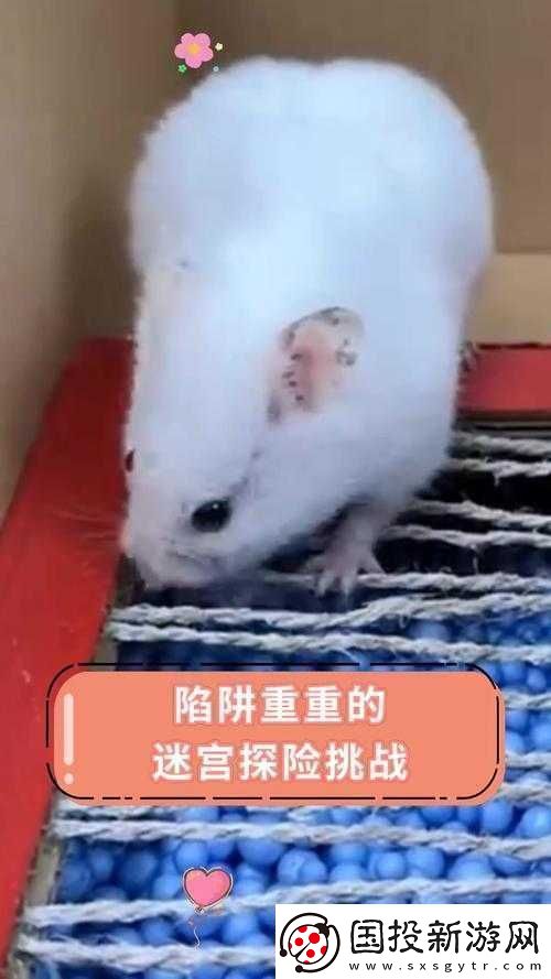鱷魚小頑皮：巧用通風攻略-戰(zhàn)勝重重挑戰(zhàn)