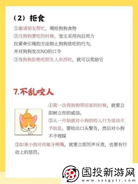 籃球隊的公共玩具正偉：1.籃球隊的公共玩具：團結與樂趣的象征