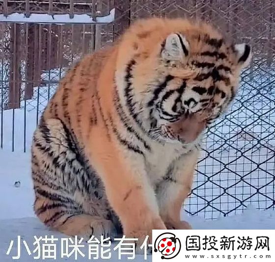 能有什么壞心眼呢是什么梗網絡用語-能有什么壞心眼呢梗意思及出處分享