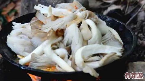 17c555黑料蘑菇