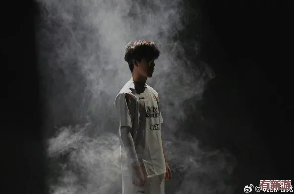 theshy現(xiàn)在在哪個隊-了解他的職業(yè)生涯與當(dāng)前戰(zhàn)隊動態(tài)