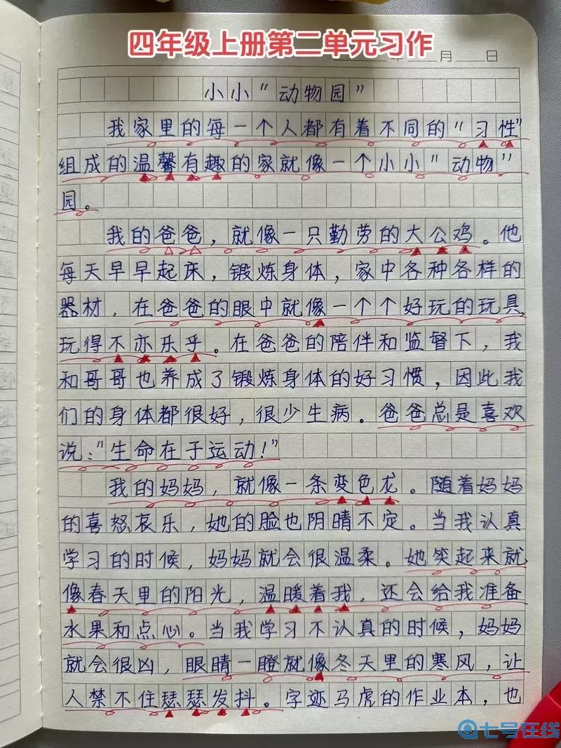 小小家園作文