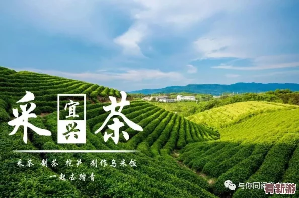 戶外**bbb