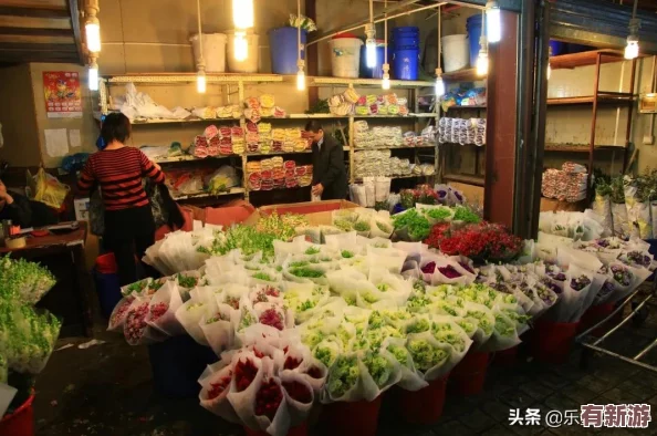免費(fèi)拔蘿卜直播