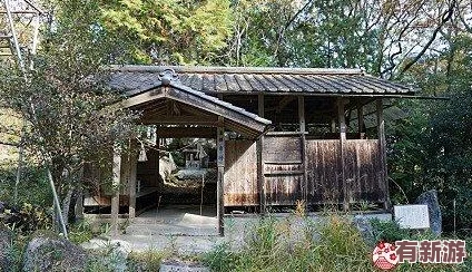 隱身在課堂里所以為桃子移植-校園內傳聞此事或與神秘組織有關