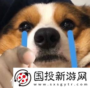 又幸福了是什么梗網(wǎng)絡(luò)用語(yǔ)-又幸福了梗意思及出處分享