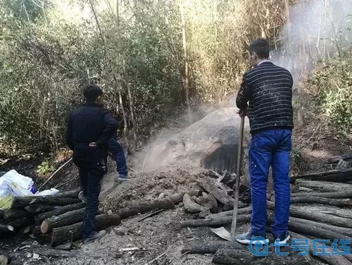 夜幕行動十字鎬