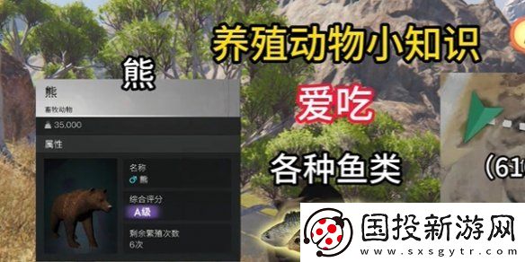七日世界養(yǎng)殖什么動(dòng)物