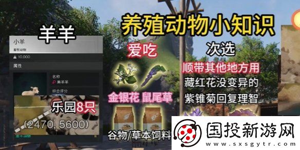七日世界養(yǎng)殖什么動(dòng)物