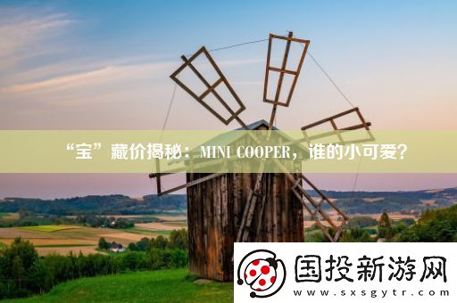 “寶”藏價(jià)揭秘：MINI-COOPER-誰的小可愛