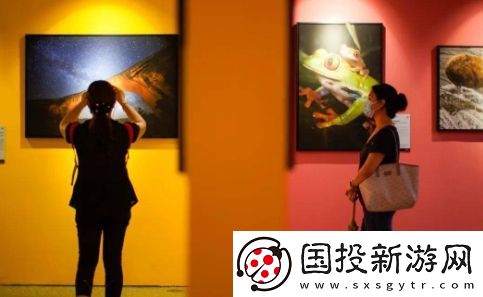看展式社交是什么梗網(wǎng)絡用語-看展式社交梗意思及出處分享
