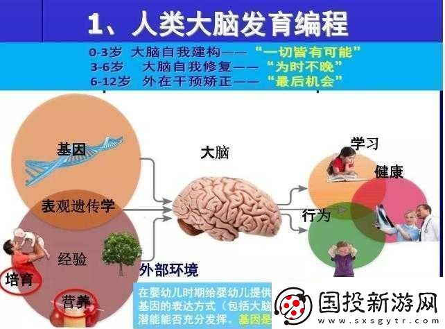 探索暴走武俠全角色成長之路：數(shù)據(jù)揭秘成長規(guī)律