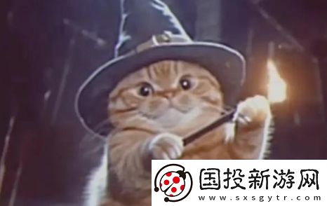 魔法貓貓是什么梗網(wǎng)絡(luò)用語(yǔ)-魔法貓貓梗意思及出處分享