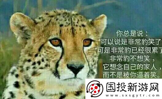 你不知道你不在乎你只關(guān)心你自己是什么梗網(wǎng)絡(luò)用語-你不知道你不在乎你只關(guān)心你自己梗意思及出處分享