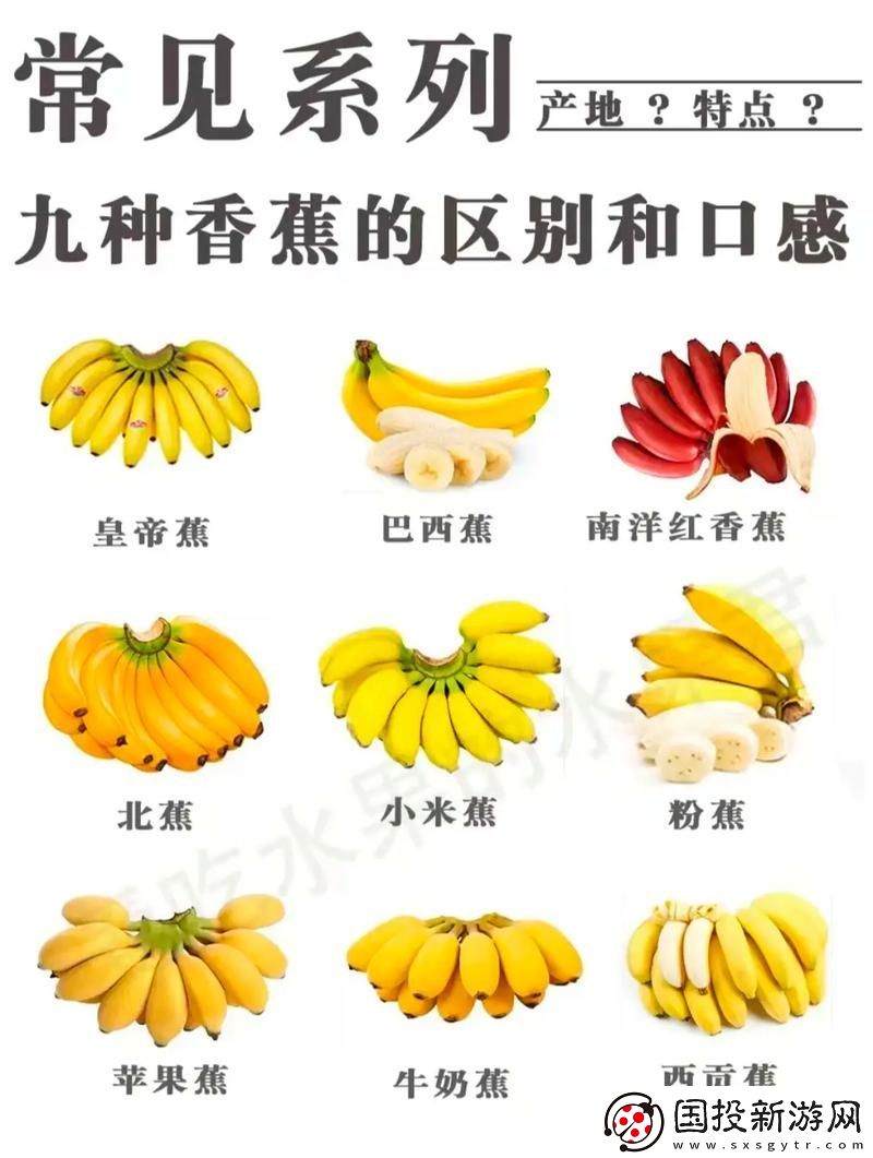 國(guó)產(chǎn)香蕉和進(jìn)口香蕉的價(jià)格比較：市場(chǎng)現(xiàn)狀與消費(fèi)者選擇