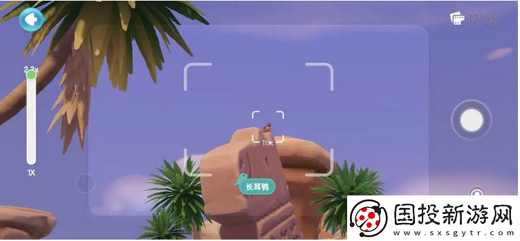 心動(dòng)小鎮(zhèn)海鷗在哪