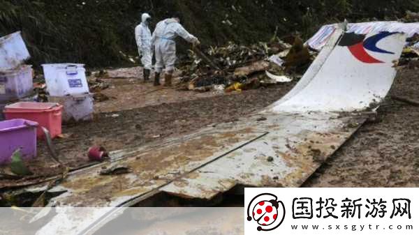 東航墜機原因-東航墜機調查：多重因素交織導致悲劇發(fā)生