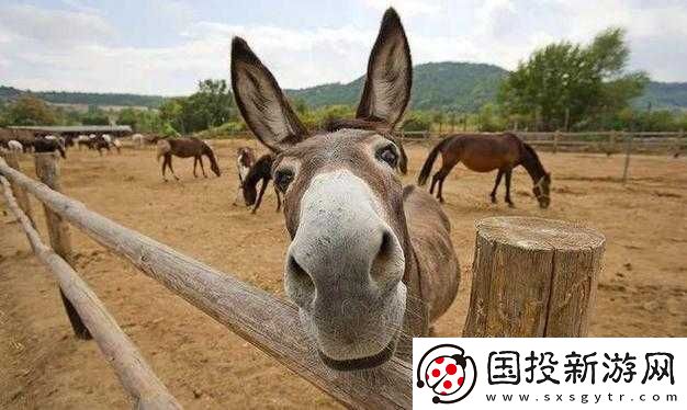 傻大壯長著驢一樣的東西：令人驚嘆的奇特外貌