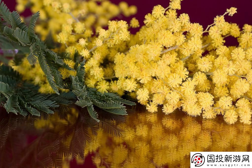 "羞草潮堂"：科技界的時尚弄潮兒