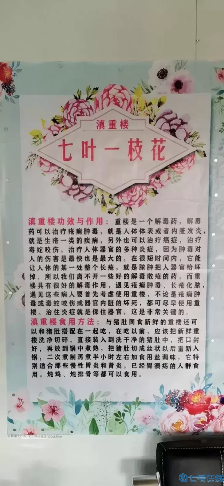 重樓有什么功效與作用