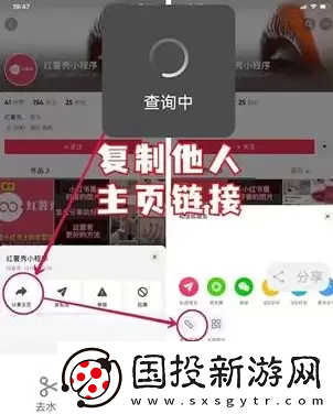 抖音賬號最新權重查詢入口