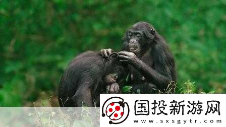 人馬畜禽紀(jì)錄片免費(fèi)：1.-＂探索人馬共生的奇妙世界與動物智慧