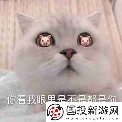 兜風嗎妹妹表情包